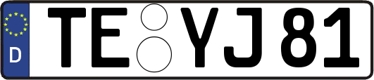 TE-YJ81