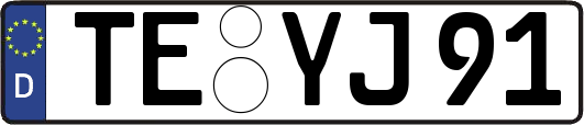 TE-YJ91