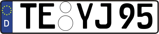 TE-YJ95
