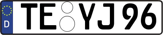 TE-YJ96