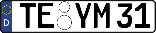 TE-YM31