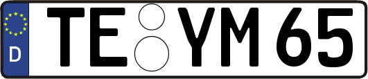 TE-YM65