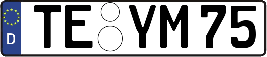 TE-YM75