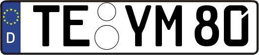 TE-YM80