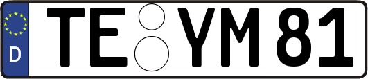TE-YM81