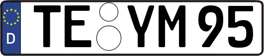 TE-YM95