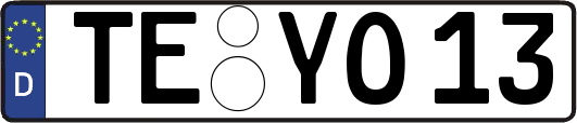 TE-YO13