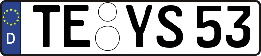 TE-YS53