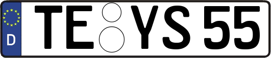 TE-YS55