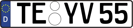 TE-YV55