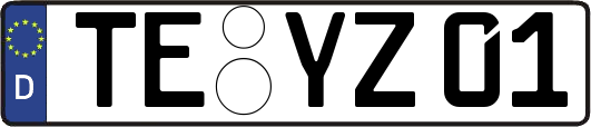 TE-YZ01