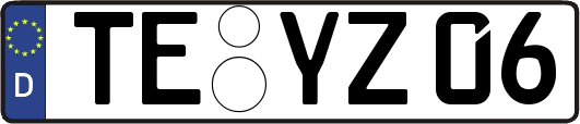 TE-YZ06