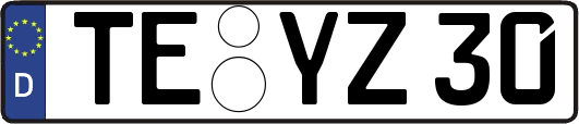 TE-YZ30