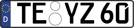 TE-YZ60