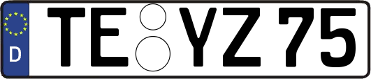 TE-YZ75