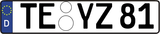 TE-YZ81