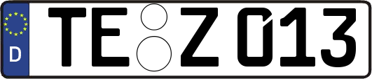 TE-Z013