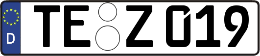 TE-Z019