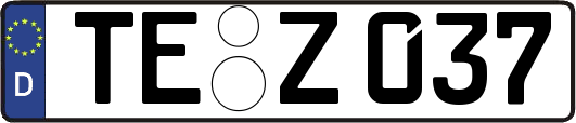 TE-Z037