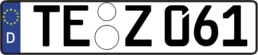 TE-Z061