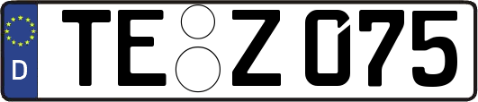TE-Z075