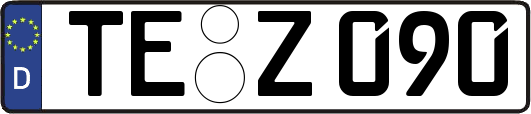 TE-Z090