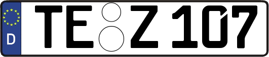 TE-Z107