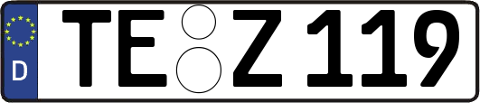 TE-Z119