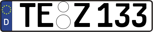 TE-Z133