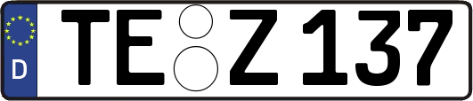 TE-Z137