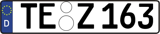 TE-Z163