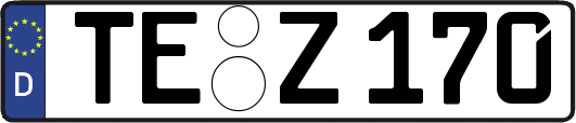 TE-Z170