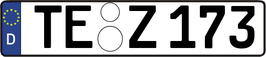 TE-Z173