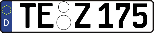 TE-Z175