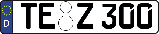 TE-Z300