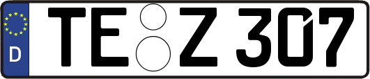 TE-Z307