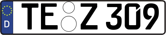 TE-Z309