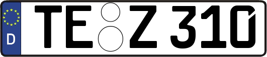 TE-Z310