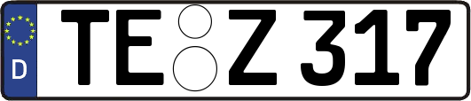 TE-Z317