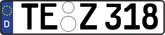 TE-Z318