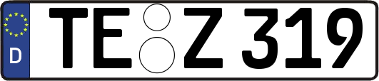 TE-Z319