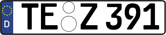 TE-Z391