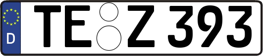 TE-Z393