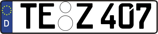 TE-Z407