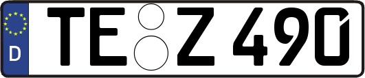 TE-Z490