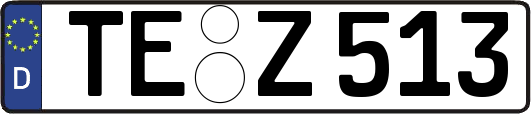 TE-Z513