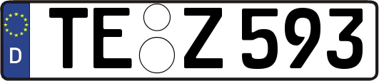 TE-Z593