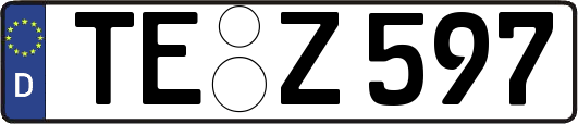 TE-Z597