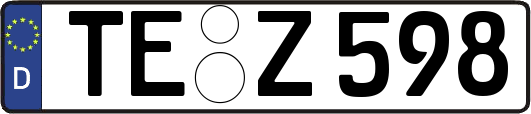 TE-Z598
