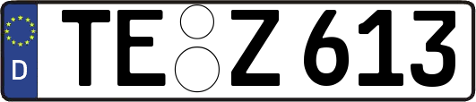 TE-Z613